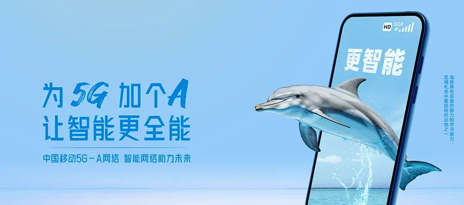 西林县西林县那佐苗族乡 移动宽带